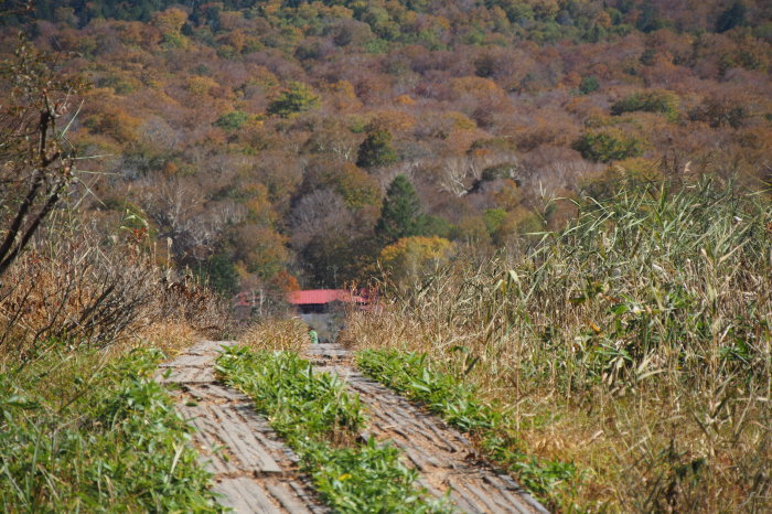 e0307372_16383416.jpg