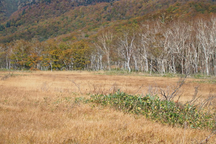 e0307372_16443855.jpg