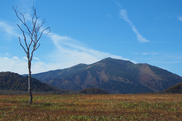 e0307372_16560093.jpg