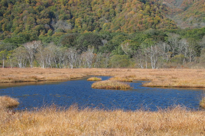 e0307372_16585745.jpg