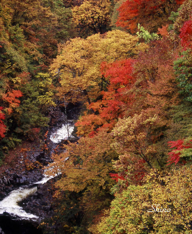 c0250376_08432842.jpg