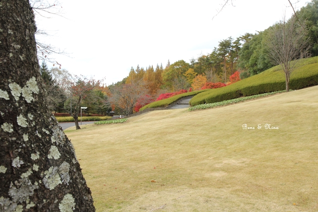 c0283778_11562736.jpg