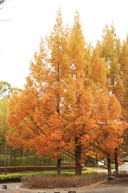 c0283778_12523100.jpg
