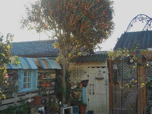 f0366679_23175768.jpg