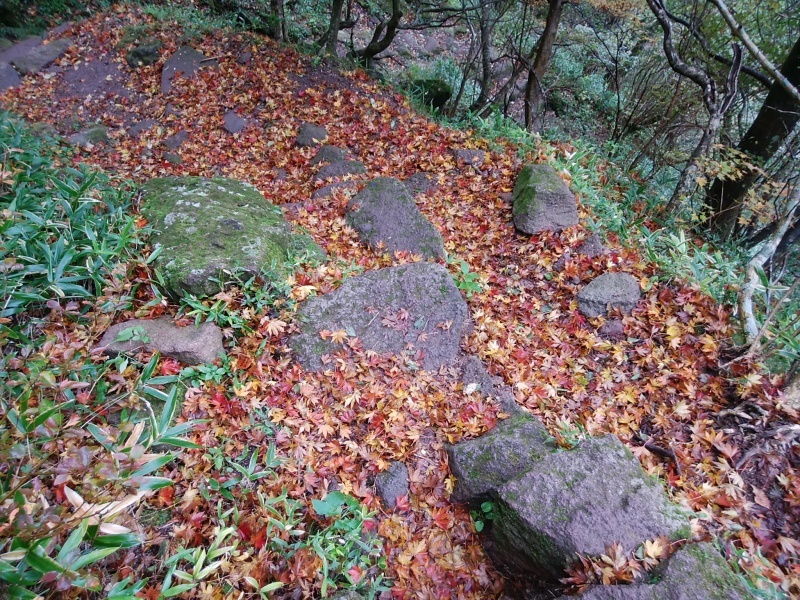 f0372285_19342983.jpg