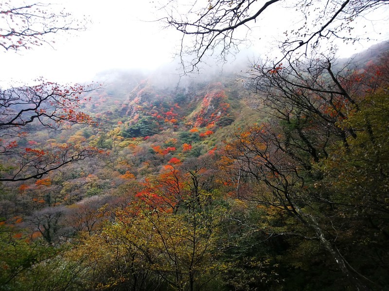 f0372285_19360036.jpg