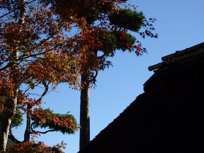 b0197486_9435471.jpg