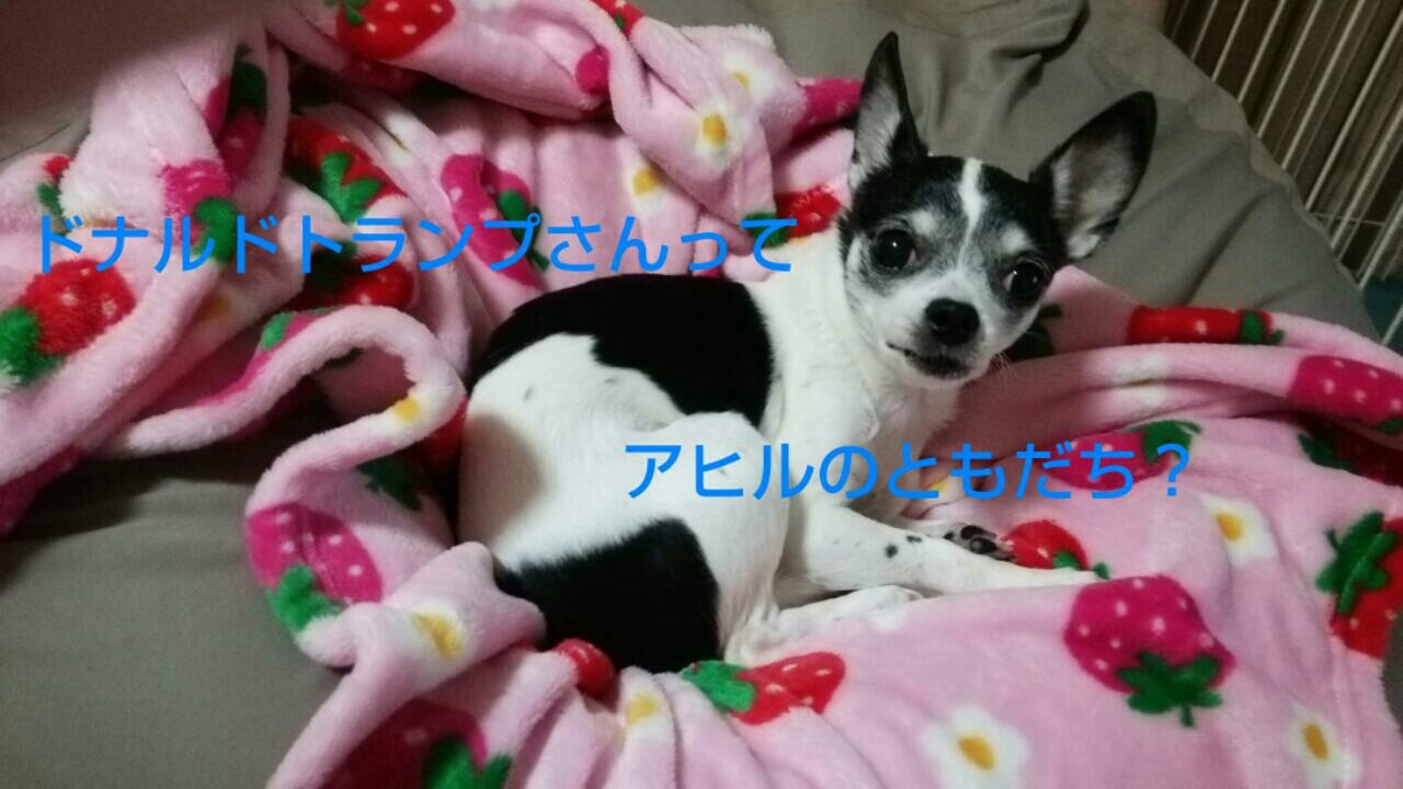 c0109891_20080856.jpg