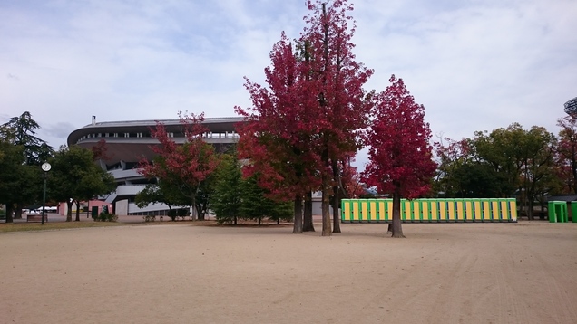 a0036693_239344.jpg
