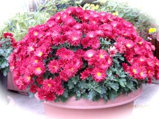 c0149195_21493287.jpg
