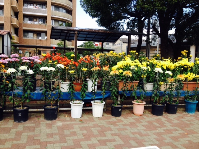 f0204295_17562334.jpg