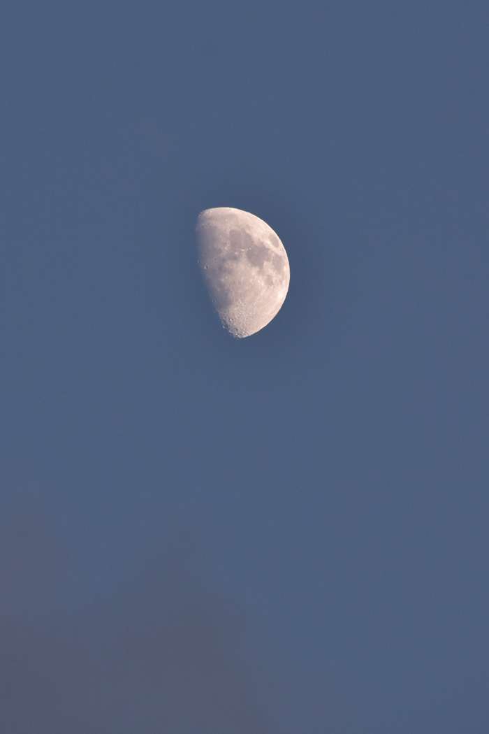 c0049299_22023879.jpg