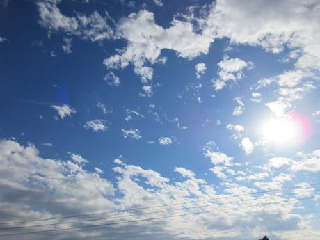 a0203003_17284590.jpg