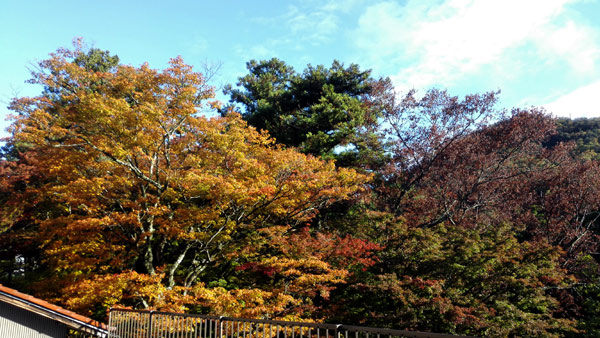 d0093903_2110626.jpg