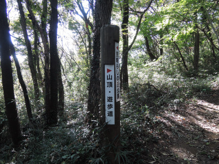 c0051112_1983415.jpg