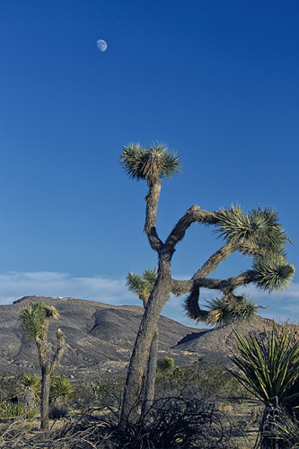c0148812_1212484.jpg