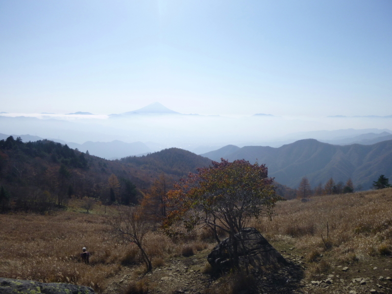 d0170615_19433414.jpg