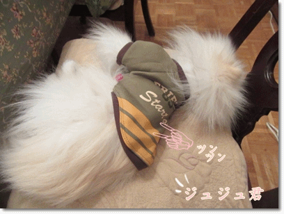 b0167519_15302599.gif