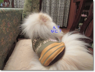 b0167519_15303857.gif
