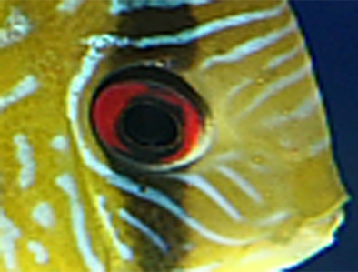 d0212519_2030684.jpg