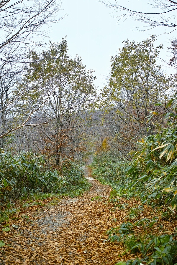 b0338222_13180977.jpg