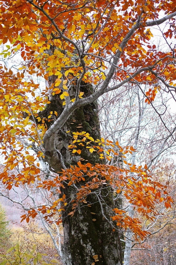 b0338222_13191410.jpg