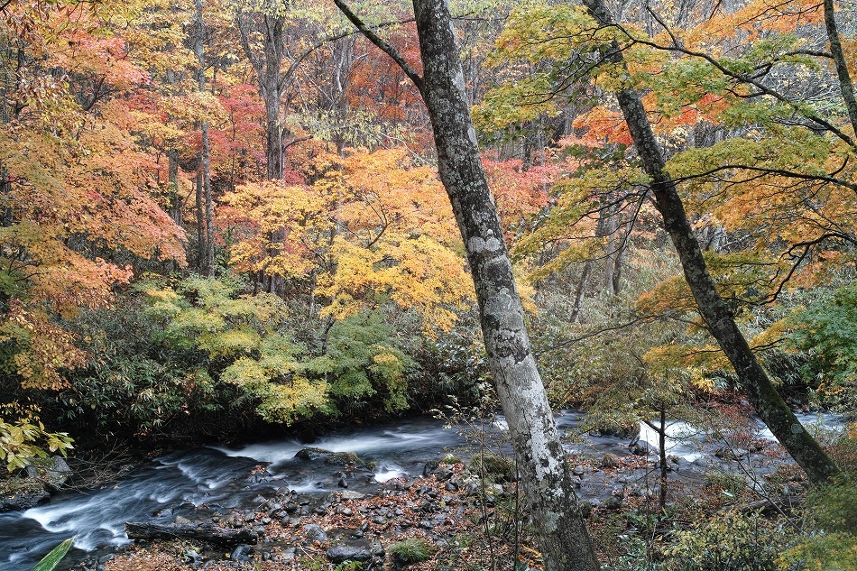 b0338222_13191600.jpg