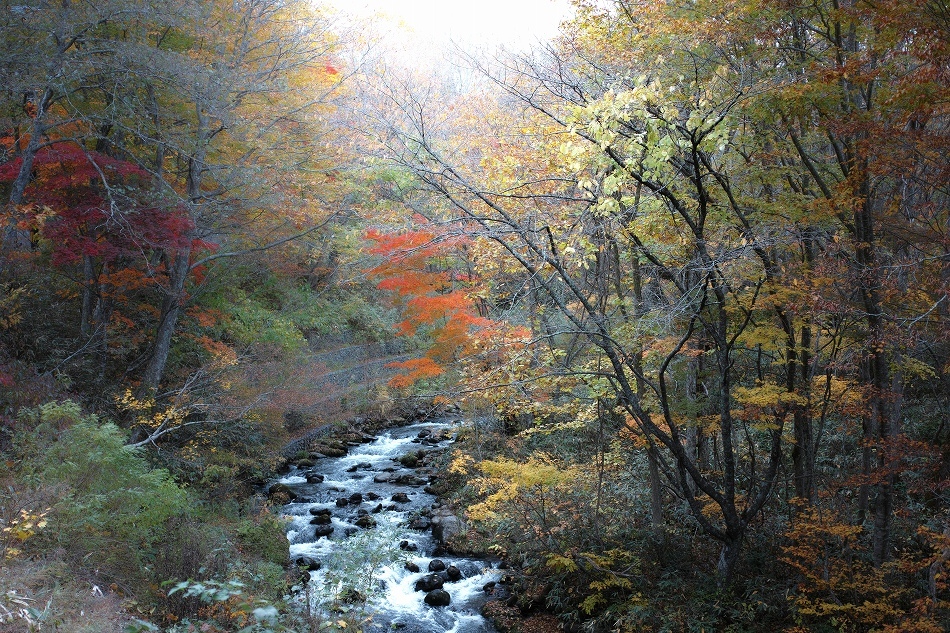 b0338222_18453325.jpg