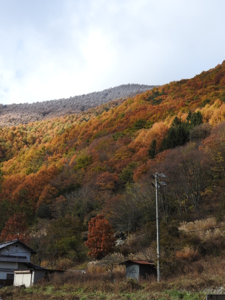 b0174425_20315847.jpg