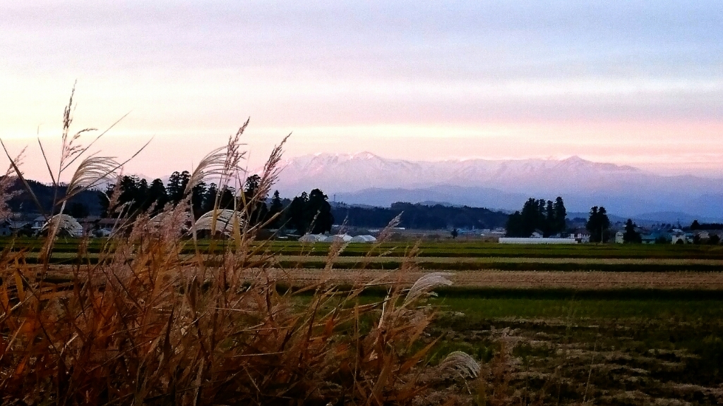 c0229025_03373778.jpg