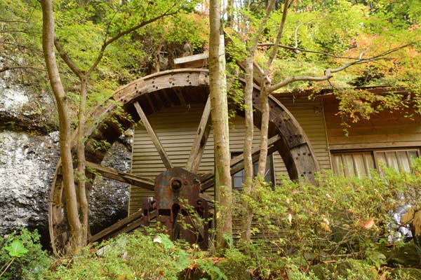 f0147025_1011675.jpg