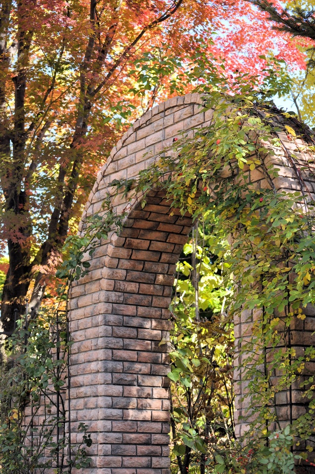a0248728_16105220.jpg
