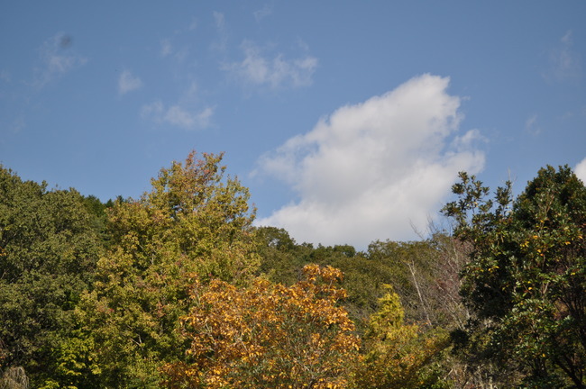 a0163529_1264218.jpg