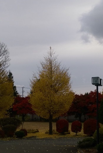 c0306839_07492740.jpg