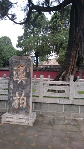 d0038545_22025338.jpg