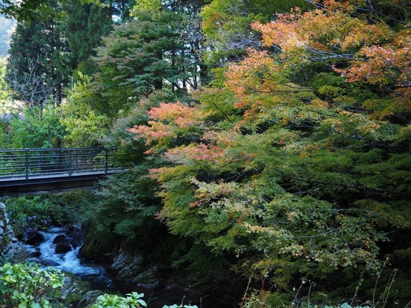 f0169147_20132403.jpg