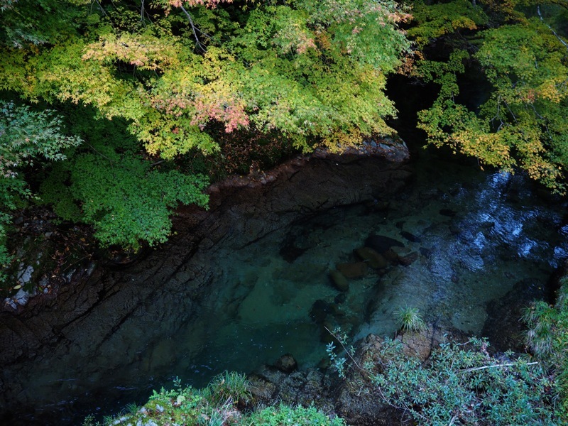 f0169147_20132545.jpg