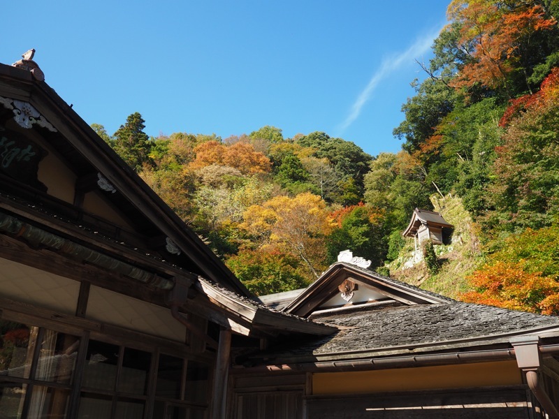 f0169147_20132863.jpg
