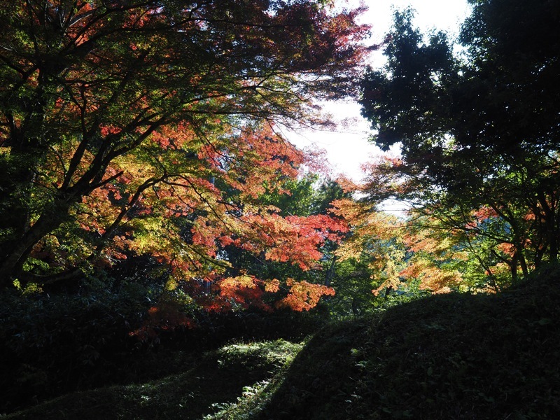 f0169147_20174263.jpg