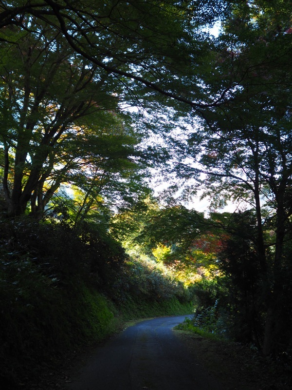 f0169147_20174499.jpg