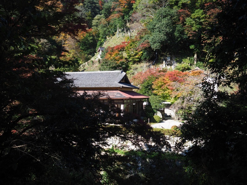 f0169147_20174595.jpg