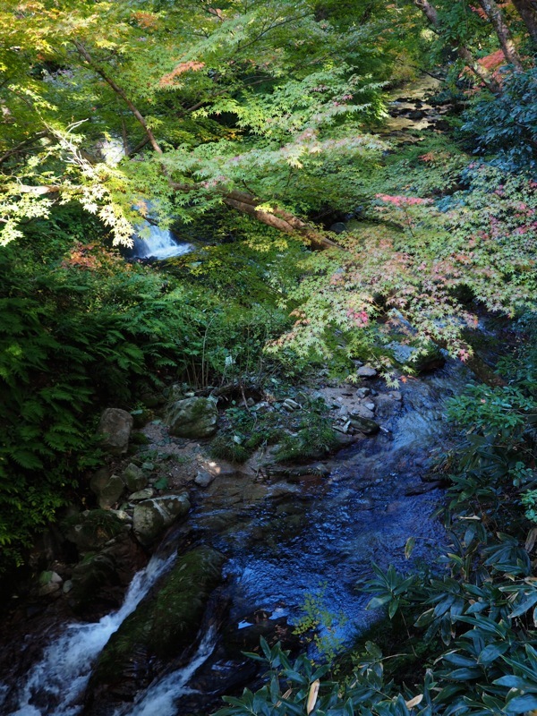 f0169147_20240352.jpg