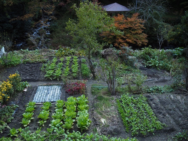 f0169147_20240407.jpg