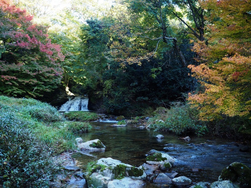 f0169147_20240421.jpg