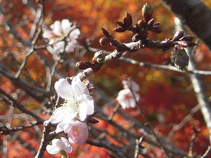 f0122853_22012837.jpg
