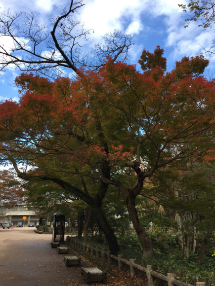 c0135361_16404438.jpg