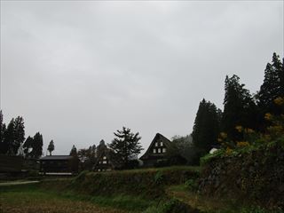 d0045362_19342062.jpg