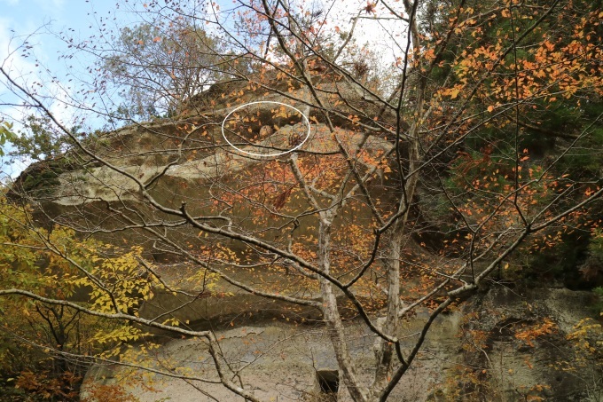 f0345263_20481595.jpg