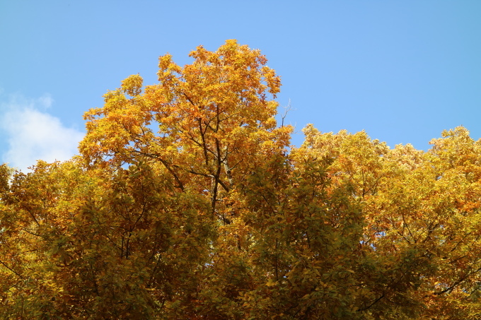 f0345263_20493175.jpg
