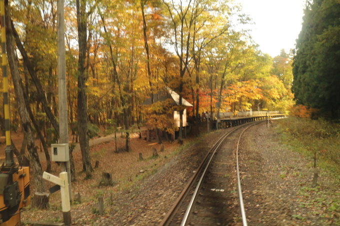 f0345263_20494408.jpg